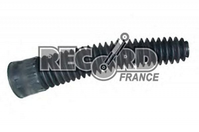RECORD FRANCE 925291 -  Пылезащитный комплект, амортизатор